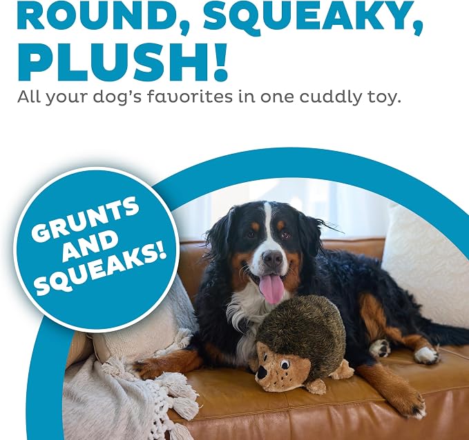 Outward Hound Hedgehogz Plush Dog Toy, Squeaks & Grunts, XL, 12" x 9" | Soft Realistic Faux Fur, Round for Rolling & Chasing, Cuddle & Carry, Interactive Fetch, Light Chewers, Dogs & Puppies