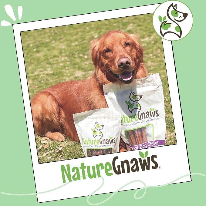 Nature Gnaws Small Bully Sticks 5-6" Rawhide Free Dog Chews, 15 Count | Long Lasting for Light Chewers and Puppies - Natural Thin Beef Dog Chew Bones - No Artificial Preservatives