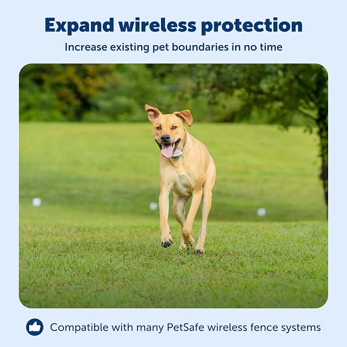 PetSafe Wireless Fence Extra Transmitter, Increase Your Existing Wireless Fence Boundary – Pet Containment for Dogs and Cats - From the Parent Company of the INVISIBLE FENCE Brand, Gray | Base Unit Only, Replacement, Extra, Expand Existing PetSafe Wire...