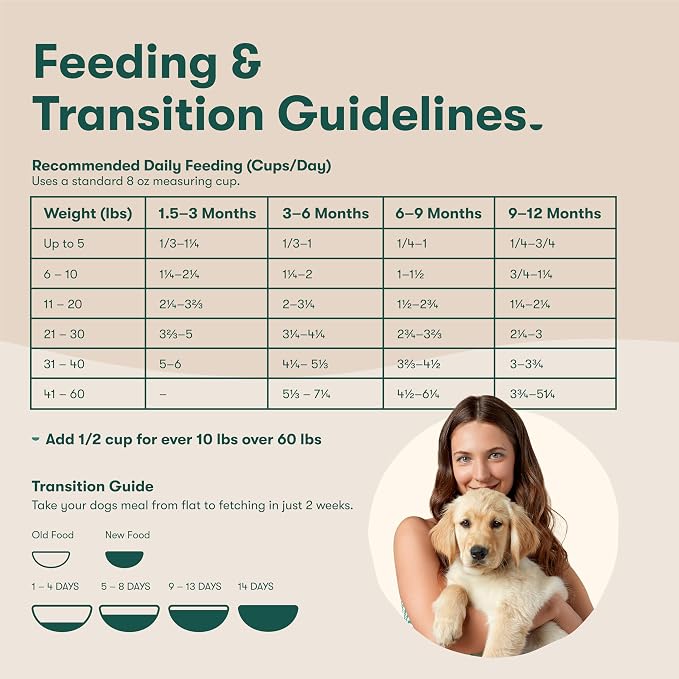 Jinx Puppy Dry Dog Food - Real Chicken, Brown Rice & Sweet Potato, 4lb | Premium Puppies Food with DHA, Protein & Calcium for Brain Health - Probiotics for Digestive Support - No Fillers