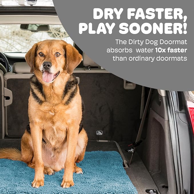Dog Gone Smart Dirty Dog Doormat - Super Absorbent Polyamide Rug Pulls in Moisture & Dirt - Fast Drying for Clean Floors, Non-Slip, Machine Washable Mat for Muddy Paws - Pacific Blue, 23 x 16 Inches