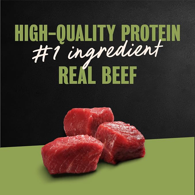 Cesar Classic Loaf in Sauce Wet Dog Food, Top Sirloin, 3.5 oz, 24 Count | Made in USA, Real beef #1 ingredient, no fillers or artificial flavors, 100% complete & balanced, easy peel trays