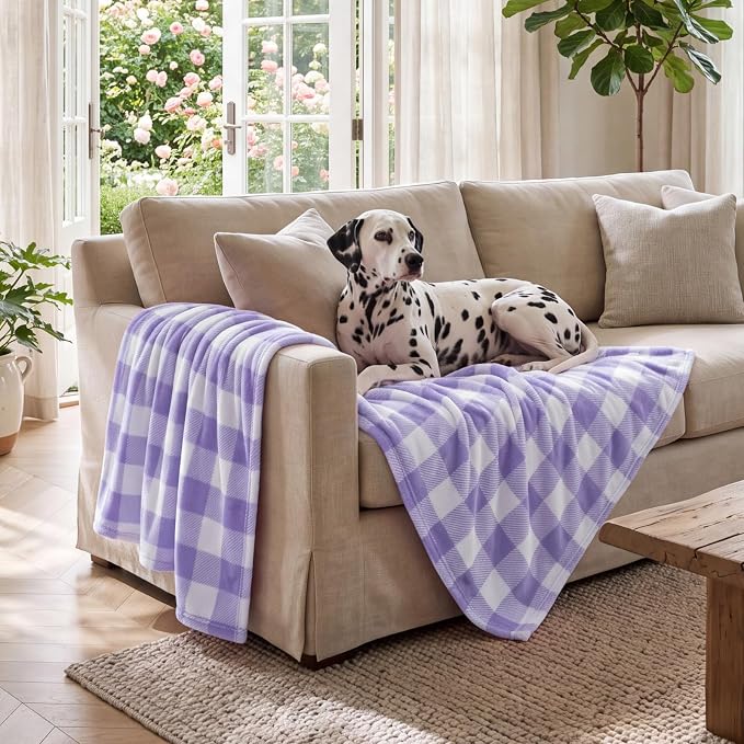 BEDELITE Plaid Fleece Throw Blanket, Purple & White Buffalo 50x60 Throw | 100% Polyester Microfibe, Soft Cozy, Lightweight Warm, Classic Buffalo Plaid, Room Decor, Gift for Women Girls, for Couch Bed