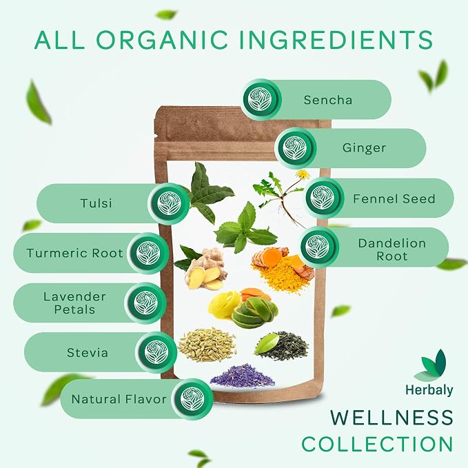 Herbaly Wellness Collection Organic Herbal Ginger Tea, 70 g, 28 Count Bag (Pack of 1)