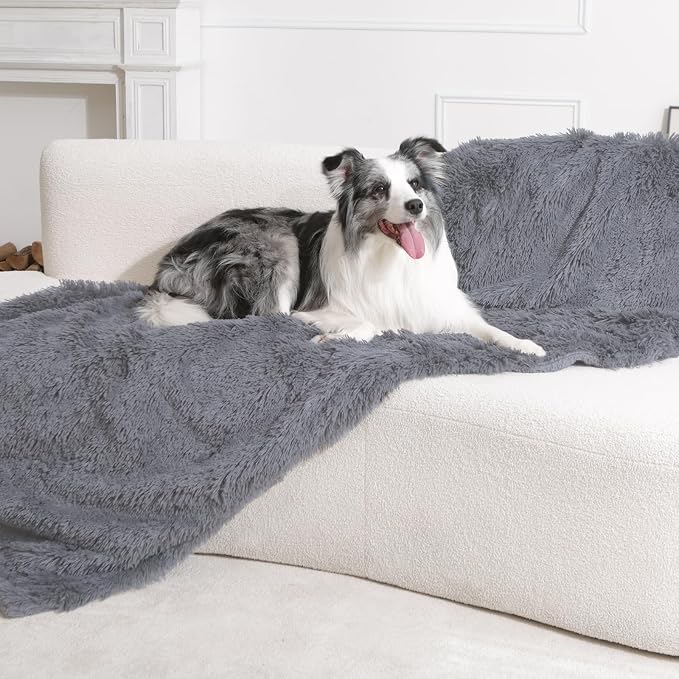 gogobunny Waterproof Dog Blanket for Couch & Furniture Protection - Super Soft Reversible Throw for Large Dogs & Cats, Calming Washable Fur & Sherpa Pet Blanket (60x80 Inch, Light Grey)