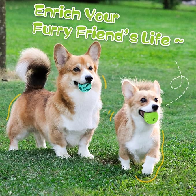 HIPPIH Dog Puzzle Toy 2 Pack, Interactive Dog Toys for Treat Dispensing | Durable Puppy Enrichment Toys, Dog Treat Ball for Teething, Slow Feeder, IQ Training, Blue-2.75'', Green-3.14''