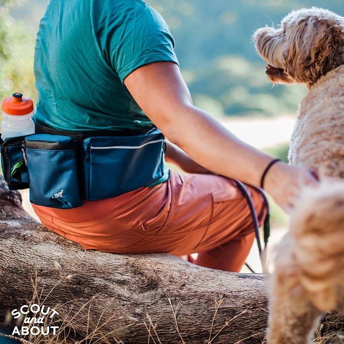 P.L.A.Y. Explorer Pack All-in-One Dog Walking Belt Bag with Zipper Pockets, Water Bottle Holder, Treat Pouch, Poop Bag Dispenser, Ball Pouch - Attaches to Leash for Hands-free Walking (Waterfall)
