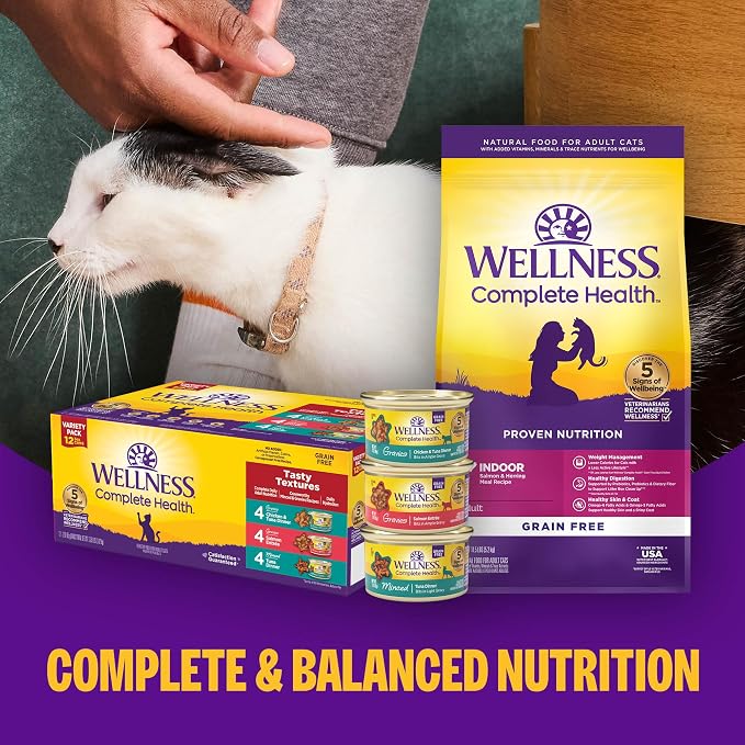 Wellness Complete Health Gravies Adult Canned Wet Cat Food, Natural, Protein Rich, Grain Free, Salmon Entrée Recipe, 5.5 oz, Pack of 12 Cans