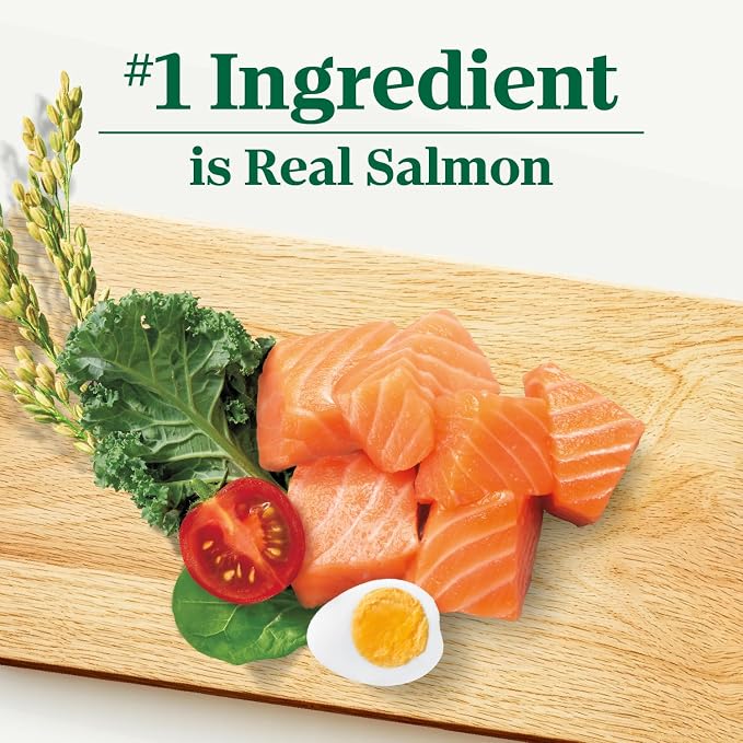 Nutro Natural Choice Small Bites Dry Dog Food, Salmon Recipe, 4.5 lb | Non-GMO, Real salmon #1 ingredient, Omega-3 & Omega-6 for skin & coat, no corn, wheat, soy, supports digestion & immunity