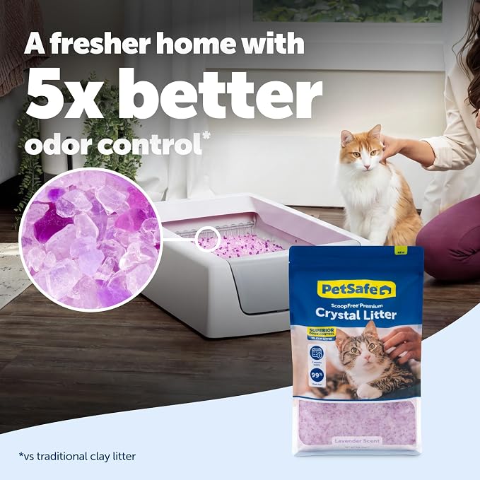 PetSafe ScoopFree Premium Crystal Litter, Lavender Scent, 8Lb Bag | 5x Faster Odor Control than Clumping Clay Litter, 99% Dust-Free, Low Tracking Crystals, Compatible with Any Cat Litter Box