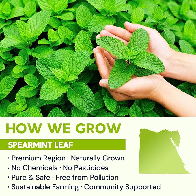Spearmint Leaf Herbal Tea - Caffeine Free, 80 Teabags