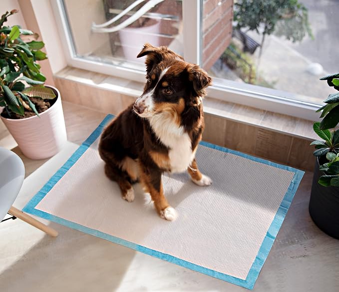 BESTLE Pet Training and Puppy Pads Pee Pads for Dogs 22"x22" Super Absorbent & Leak-Proof (Pack of 2)