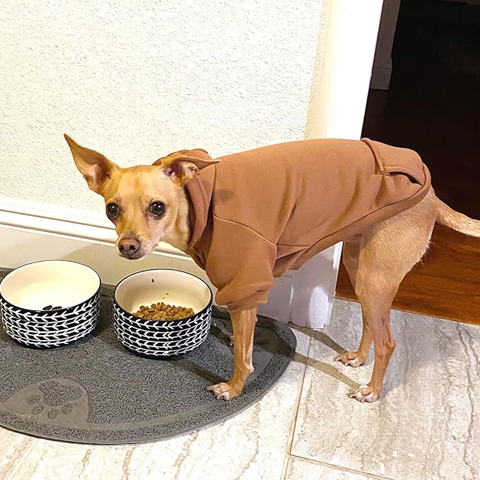 Soft Dog Hoodies for Small Dogs, Warm Fleece Puppy Clothes with Pocket | Jecikelon cold weather coat, cute puppy costume, breathable sweatshirt for dogs girl & boy, machine washable, easy on & off