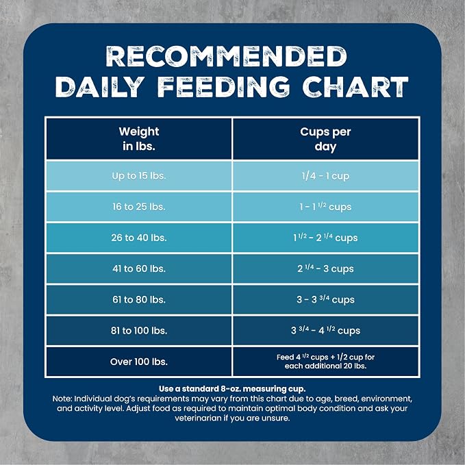 Blue Buffalo Wilderness Salmon & Wholesome Grains Adult Dry Dog Food, 13 lb | 39g Protein, Real Salmon #1 Ingredient, Antioxidant-Rich Fruits & Veggies, High Protein to Fuel Adventures