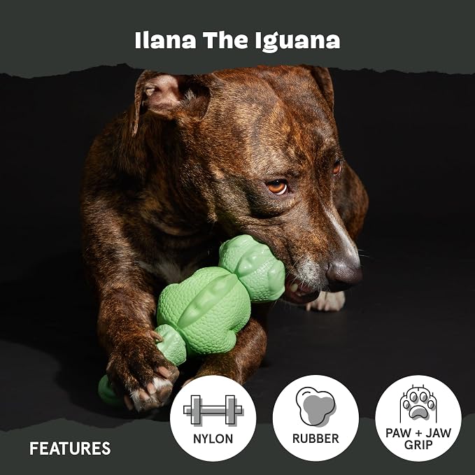 BarkBox Ilana the Iguana Super Chewer - Toy for Medium to Large Dogs | Durable Dog Toy for Aggressive Chewers - Dental Stimulating Chew