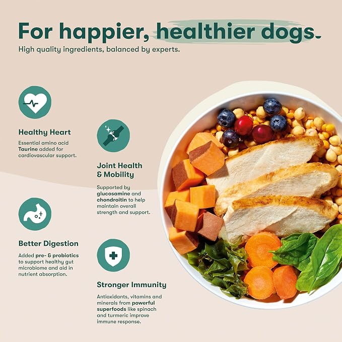 Jinx Senior Dry Dog Food - Real Chicken, Brown Rice & Sweet Potato, 4lb | Premium Senior Dogs Kibble with Antioxidants for Immune Support & Whole Grains for Digestive Support - No Fillers