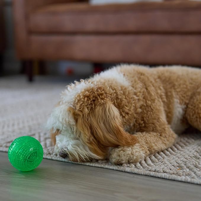 SPOT Dura-Brite Treat Ball - Treat Dispensing Dog Toy Made with Durable TPR Rubber, Interactive Slow Feeder Puzzle Ball, Prevents Boredom and Makes Mealtime Fun - 3in, Assorted Colors