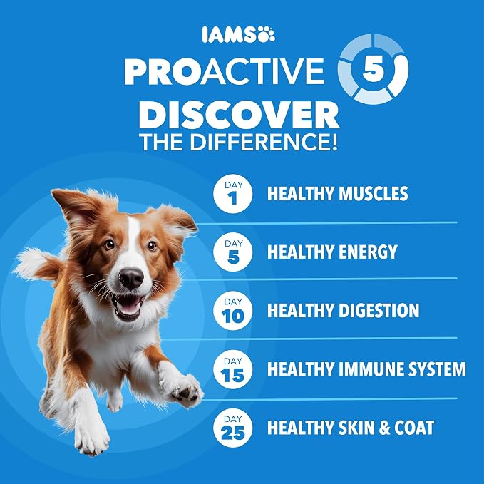 IAMS Proactive Health Healthy Weight Dry Dog Food, Chicken, 29.1 lb | Real chicken #1 ingredient, L-Carnitine for metabolism, strong muscles, no fillers or artificial flavors, vet-recommended