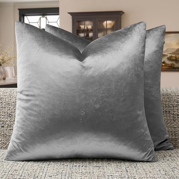 GIGIZAZA Dark Grey Velvet Throw Pillow Covers 22x22 Pack of 2 | Decorative Pillows for Couch Sofa,280gsm Soft Textured Fabric,Modern Square Pillowcases,Luxury Cushion Covers