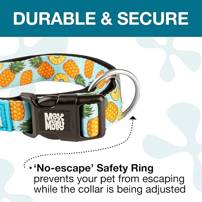 Max & Molly Urban Pets Smart ID Dog Collar with Gotcha! QR Pet Safety Tag and Custom Pet Profile, Soft Padded Neoprene, Waterproof, Machine Washable, Sweet Pineapple, M (13-21")