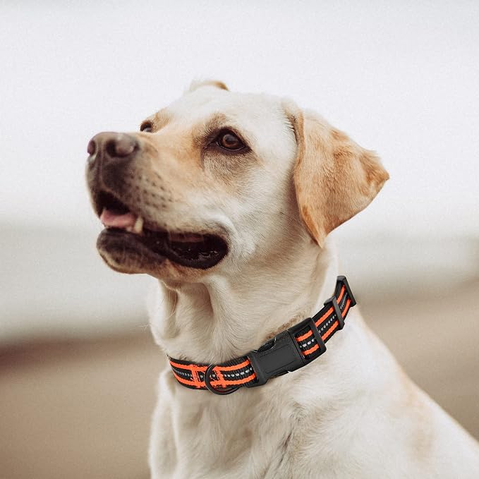 Mile High Life Reflective Dog Collar, Adjustable Lightweight Quick Release