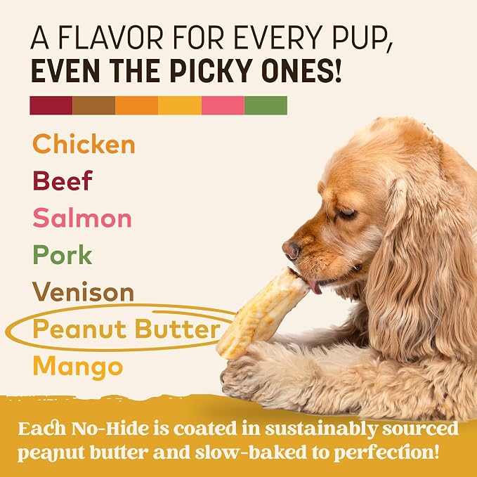 Earth Animal No Hide Dog Chews - Small Rolls 6 Count Peanut Butter | Small Rolls Peanut Butter Flavored Natural Rawhide Free Long Lasting Dog Chews - Pet Treats for Small Dogs