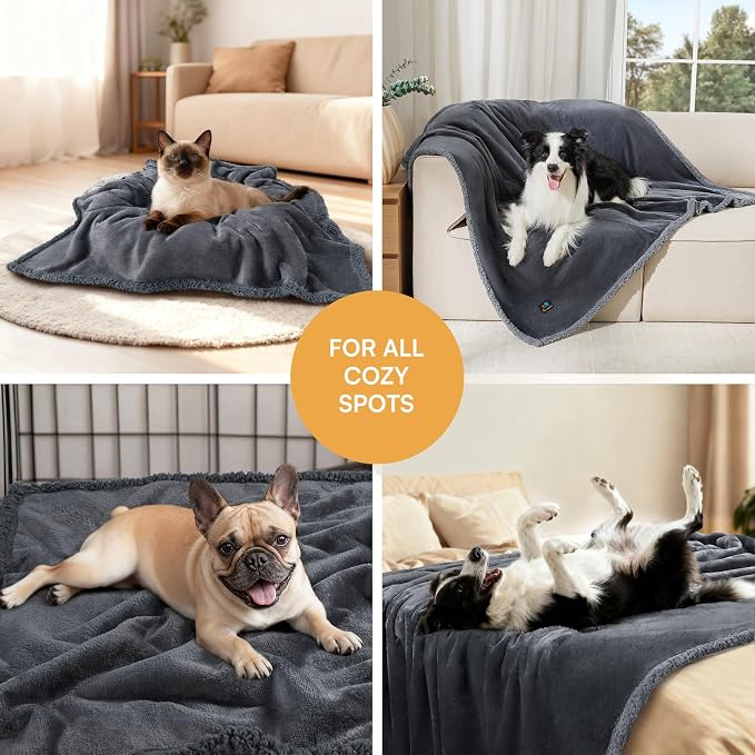 Waterproof Pet Blanket, Liquid Pee Proof Dog Blanket for Sofa Bed Couch, Reversible Sherpa Fleece Furniture Protector Cover for Small Medium Large Dogs Cats, Dark Gray Small（40" x 28"） (Pack of 2)