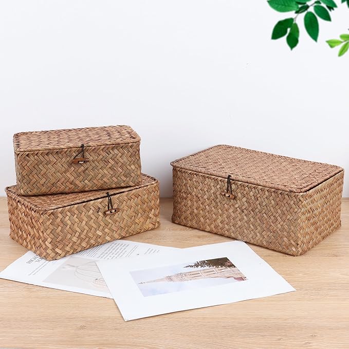FEIALNDUO Wicker Shelf Baskets with Lid,Seagrass Storage Basket Bins Rectangular Handwoven Basket Boxes for Shelves Desktop Home Organizer (Coffee, Medium)