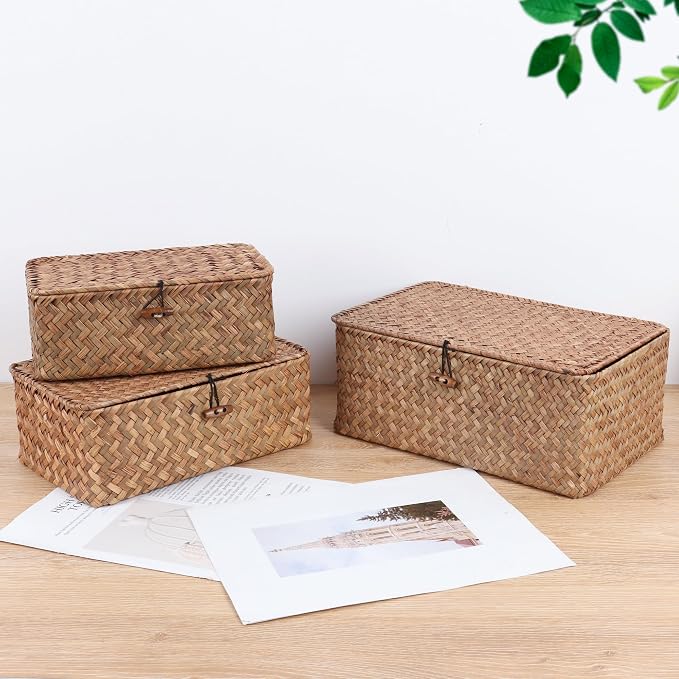 FEIALNDUO Wicker Shelf Baskets with Lid,Seagrass Storage Basket Bins Rectangular Handwoven Basket Boxes for Shelves Desktop Home Organizer (Coffee, Small)