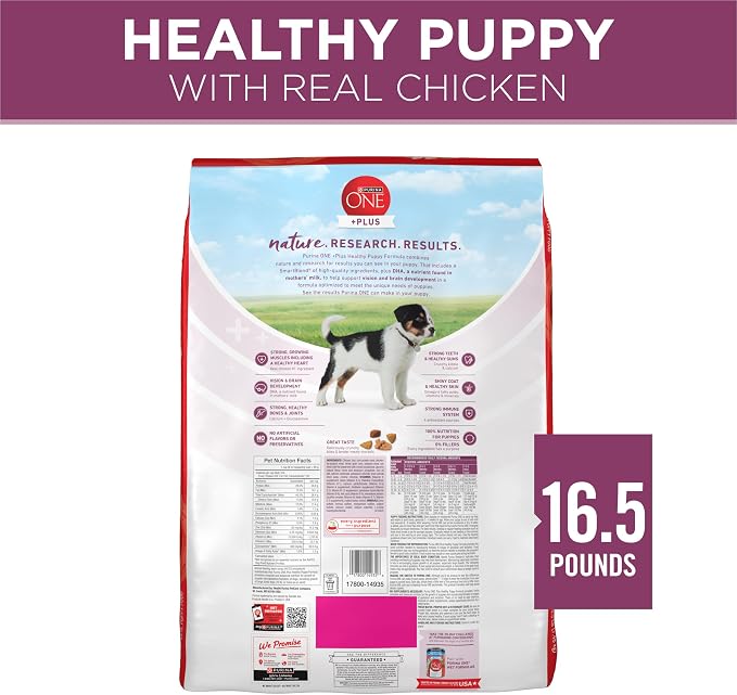 Purina ONE Plus Healthy Puppy Dry Food, Chicken, 16.5 lb Bag | High protein dog food for puppies, real chicken, DHA to support vision and brain development, antioxidants for immune support