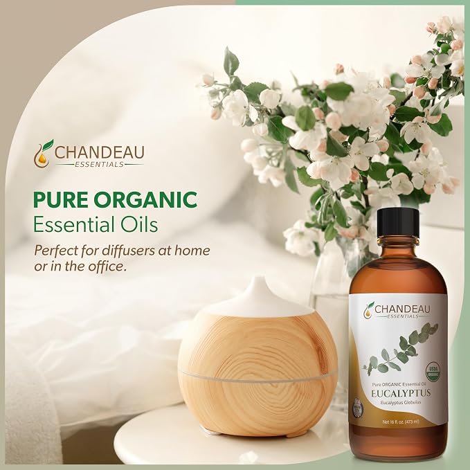 100% Pure Organic Essential Oil, Pure Eucalyptus Essential Oil for Aromatherapy, Soap Making, Candles, Laundry, Perfume, Cleaners or Diffusers - Large Amber Glass Bottle, 16 oz.