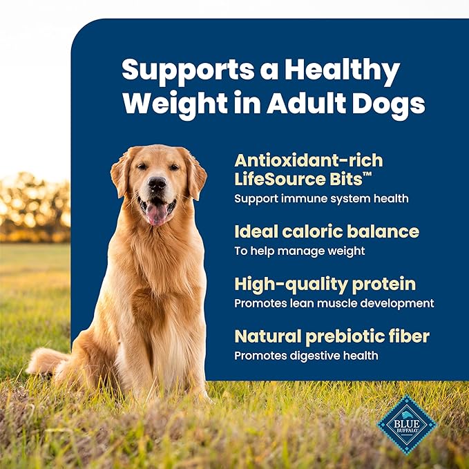Blue Buffalo Life Protection Formula Healthy Weight Large Dog Food, 5 lb | Real Chicken #1 Ingredient, Promotes Lean Muscles & Weight Control in Large Breed Dogs, Antioxidant-Rich LifeSource Bits
