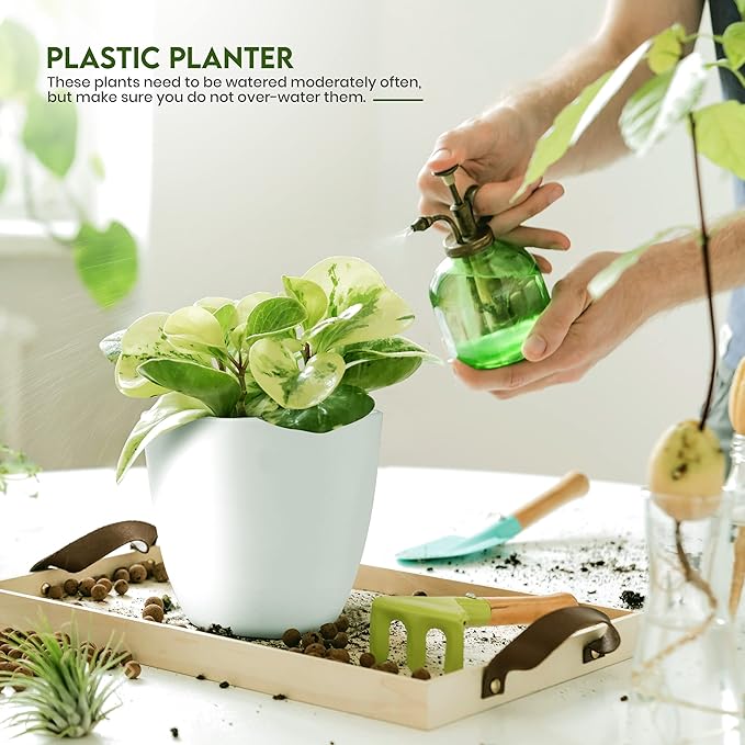 Plant Pots Indoor with Drainage, 5 Pack Multi-Size Planters Set, White | Drainage holes included Multiple sizes 7/6.6/6/5.3/4.8 In Indoor plants and flowers Durable plastic construction