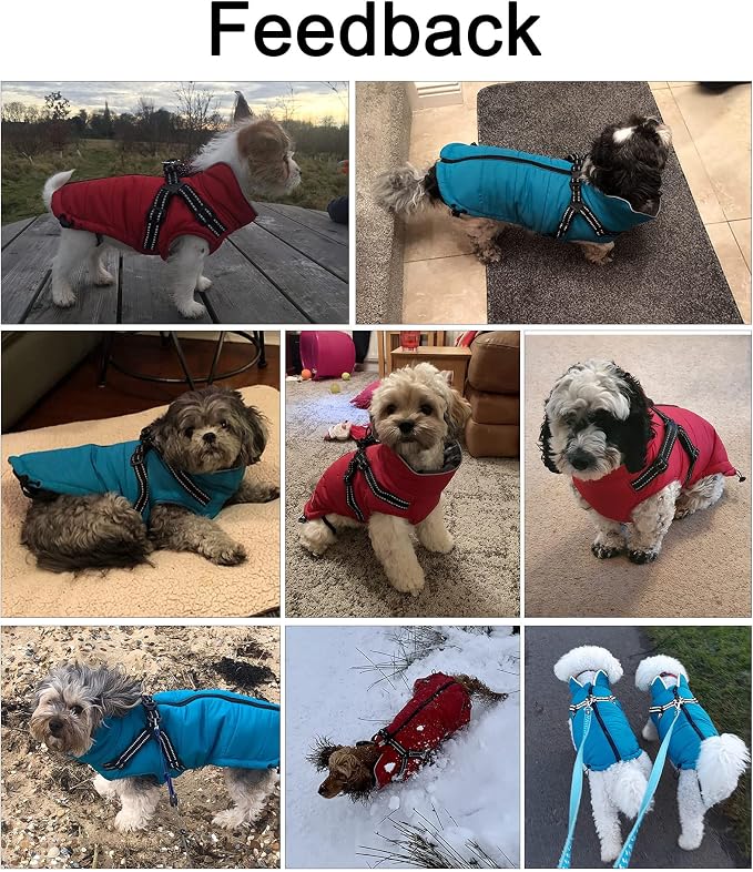 Geyecete Winter Warm Coat Waterproof Dog Winter Jacket with Harness Traction Belt,Pet Outdoor Jacket Dog Autumn and Winter Clothes for Medium, Small Dog-Blue-L