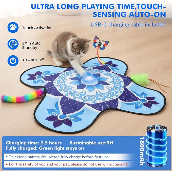 Wortade 3in1 Interactive Hide-and-Seek Cat Toy, Rotating, Blue