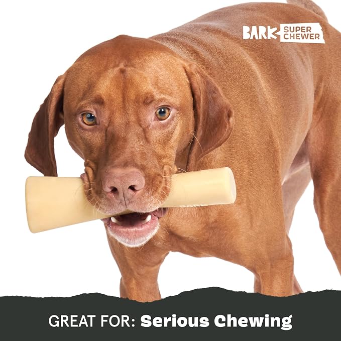 BarkBox Mighty Bone Bacon Super Chewer - Toy for Small Dogs | Durable Dog Toy for Aggressive Chewers - Bacon Scented Chew