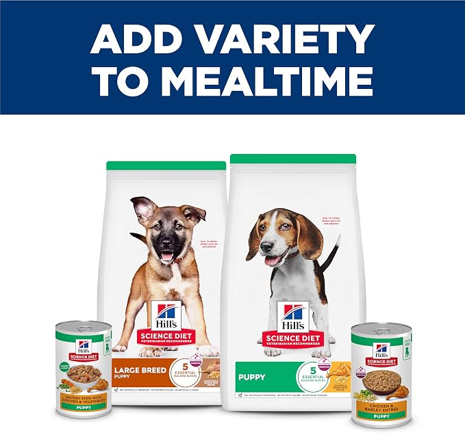 Hill's Science Diet Puppy Wet Dog Food | #1 Veterinarian Recommended, Chicken & Barley, 13 oz. Cans, 12-Pack