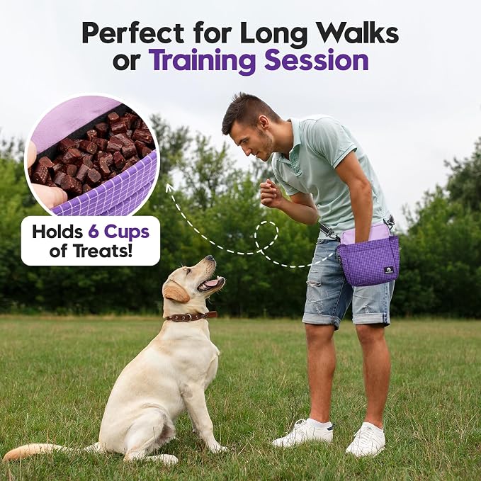 Dog Treat Pouch for Training, Magnetic Dog Walking Bag and Fanny Pack