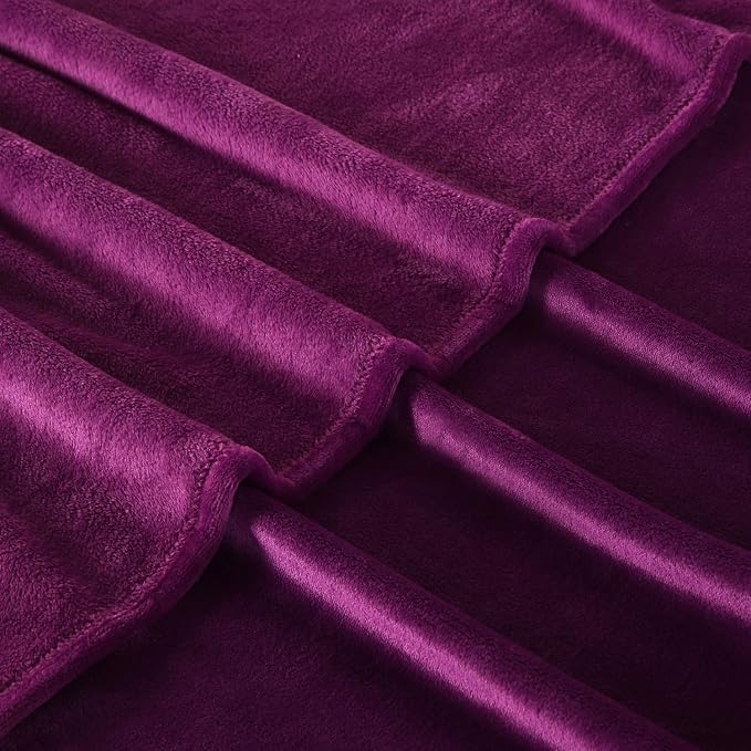 TASTHROW Large Flannel Fleece Throw Blanket, 60×80 Inch - Purple | Cozy Lightweight Thick Blanket - All Seasons Suitable for Women, Men and Kids