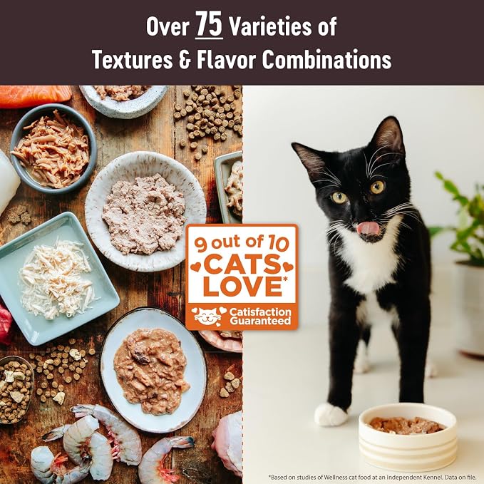 Wellness CORE Tiny Tasters Pate Adult Wet Cat Food,Natural,Protein-Rich,Grain Free,1.75-Ounce Pouch,(Duck),(Pack of 24)