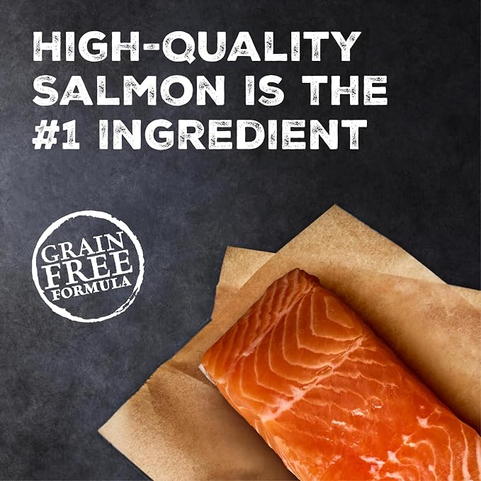 Blue Buffalo Wilderness Salmon Kitten Paté Wet Cat Food, 3 oz, 24 ct | High Protein, Real Salmon #1 Ingredient, Grain-Free Recipe, DHA for Cognitive Development, Helps Support Daily Hydration