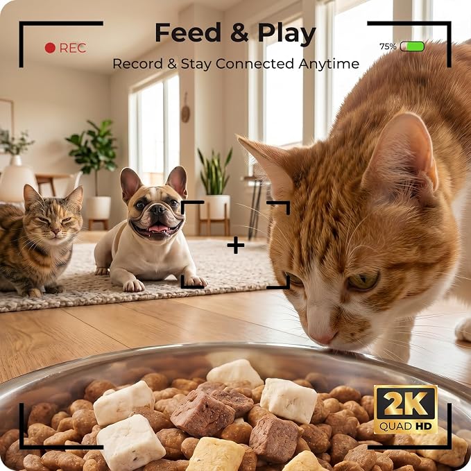 Automatic Cat Feeder with 2K Camera: 5G WiFi Auto Dog Feeder - 6L | Night Vision, Two-way Audio, Voice Recording, Smart APP Control, 304 Stainless Steel Bowl, Detachable for Easy Clean - White