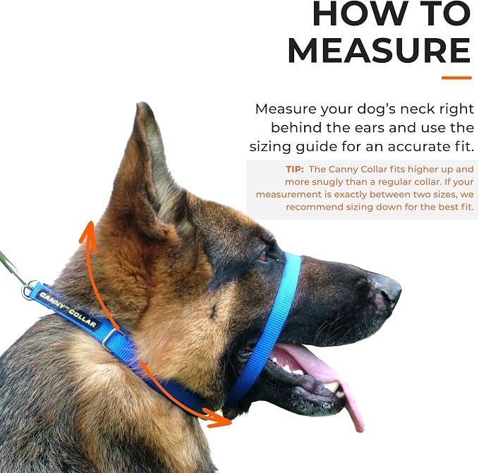 Canny Gentle No-Pull Dog Training Head Collar to Stop Pulling Black Size 4