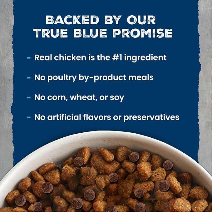 Blue Buffalo Wilderness Chicken Small Breed Adult Dry Dog Food, 13 lb | 41g Protein, Real Chicken #1 Ingredient, High Protein Plus Wholesome Grains, Supports Higher Energy Needs