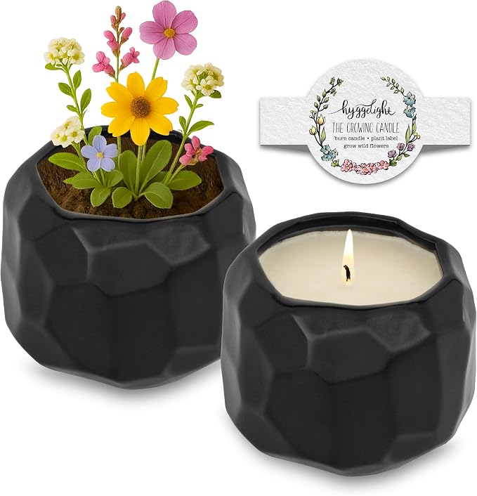 Hyggelight - The Growing Candle, Lemongrass Scented, 13oz Ceramic Pot, Single Wick Aromatherapy Candles, 100% Soy for Women and Men, Emma
