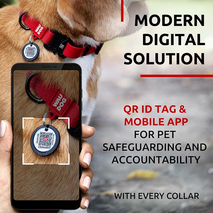 WAUDOG Waterproof Dog Collar Airtag Holder QR Tag Small Medium Large Dogs | Water and Dirt Resistant, Quick Dry QR Pet Tag Adjustable Durable Comfort for Male and Female Dogs Outdoor Walking Training