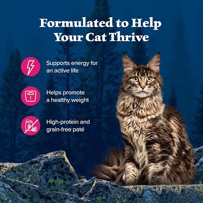 Blue Buffalo Wilderness Salmon Paté Adult Wet Cat Food, 5.5 oz, 24 ct | Real Salmon #1 Ingredients, High Protein & Grain-Free Recipes, Supports Energy for an Active Life