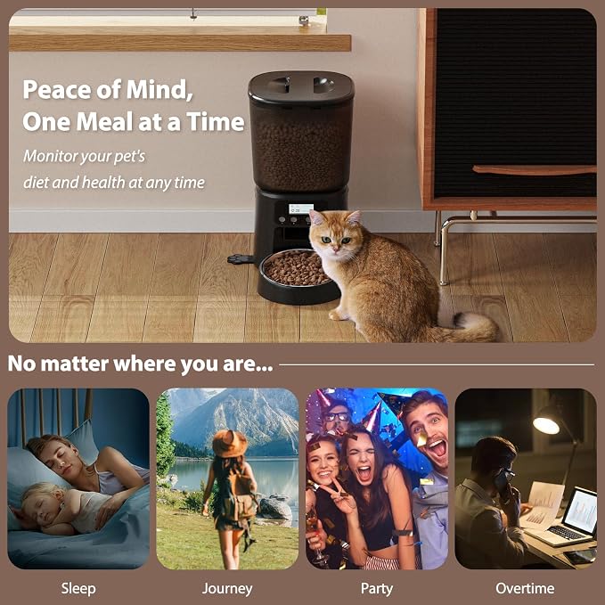 Petrice Automatic Cat Feeder, 4L/16Cups Cat Food Dispenser with Stainless Steel Bowl Programmable 30 Portions 6 Meals per Day, Timed Pet Feeder for Kitty Small Dogs with 10S Voice Record, Black