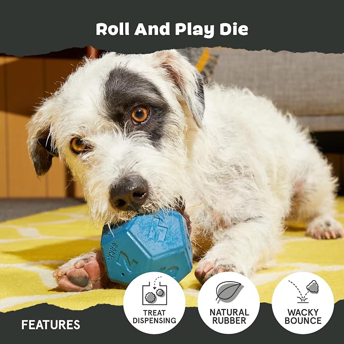 BarkBox Roll and Play Die - Toy for Small Dogs