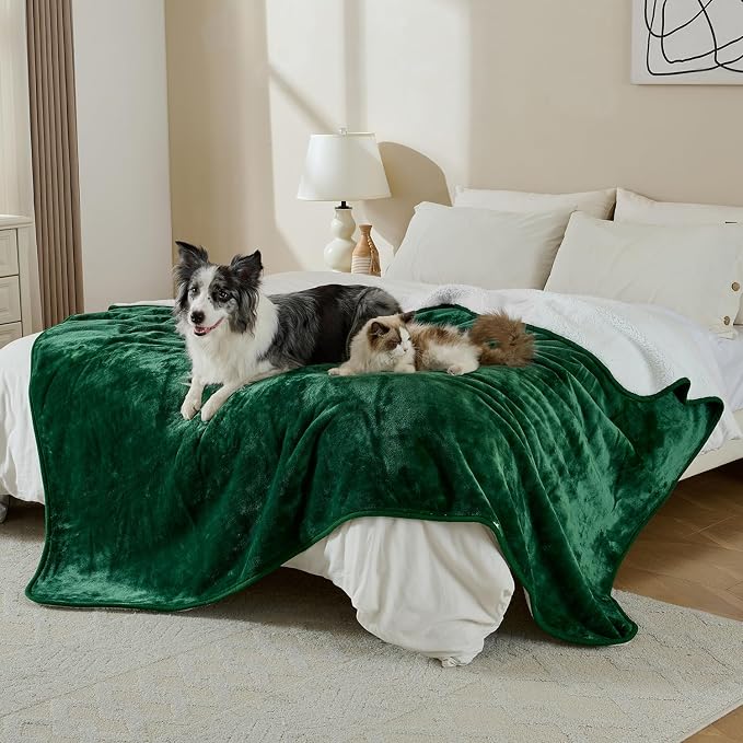 Soft Waterproof Blanket for Bed Couch Sofa, Green, 60x80 inches | Liquid Pee Proof Pet Blanket for Dog Puppy Cat, Reversible Sherpa Fleece Blanket for Couch Cover, Furniture Protector